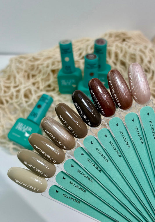 PANTONE 2025 SILLER