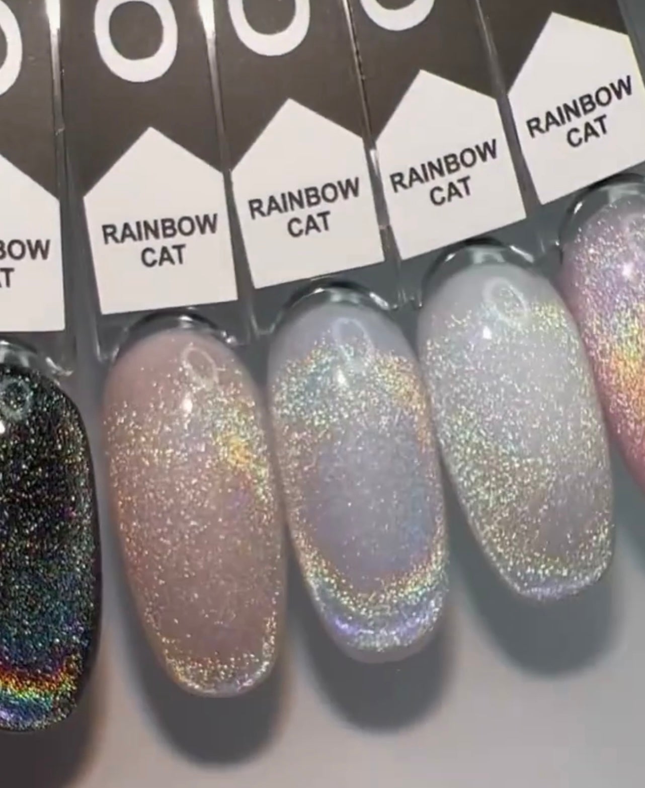 RAINBOW CAT OXXI